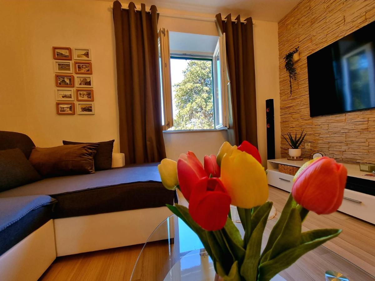 Apartment Lux زادار المظهر الخارجي الصورة